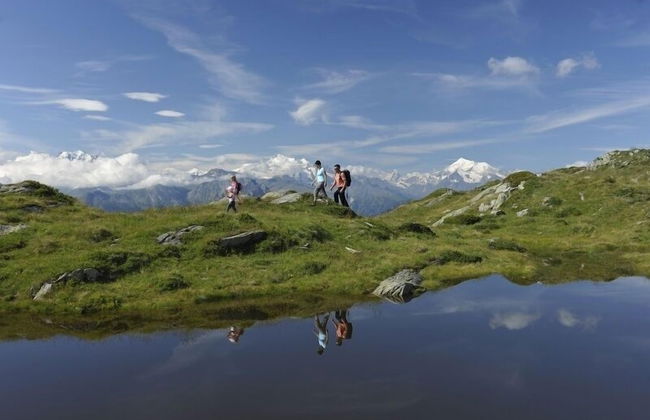 Nachtigall OG - Foto 24