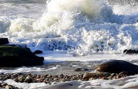 MOBILHOME du Marais EN BAIE DE SOMME - Foto 16