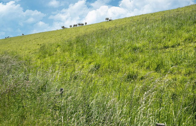 Holiday Home Zeeland Near Westerschelde - Foto 42