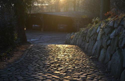 Ferienwohnung Seefrieden - Foto 18