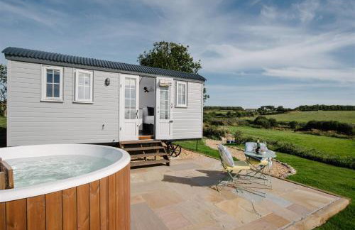 Shepherds Hut at Chenhall Farm - Photo 23