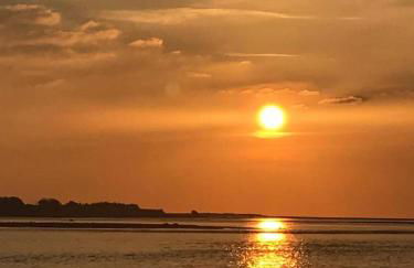 Les volets verts - Foto 21