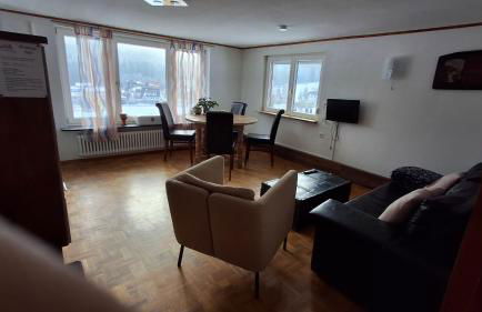 Ferienhof Ziegler- Sonnenschein - Foto 18