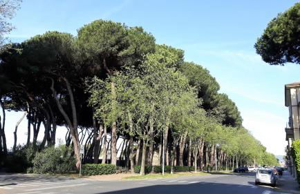 Mare e Monti Apartment - Foto 13