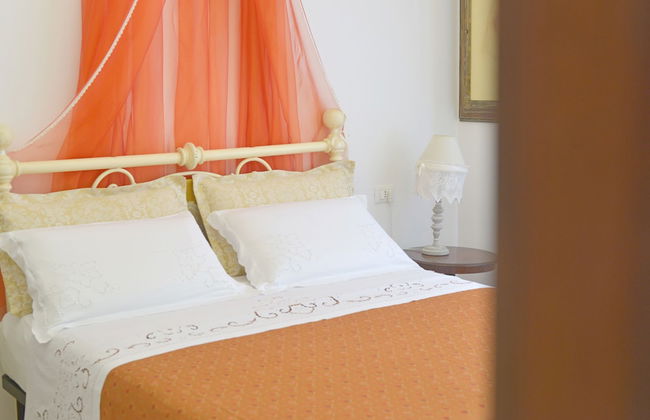 La Mimosa - Photo 10