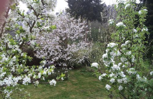 Ferienwohnung Kuckuck auf dem Sommerberg incl Schwarzwald Plus-Karte - 2 Zimmer 50qm - Foto 48