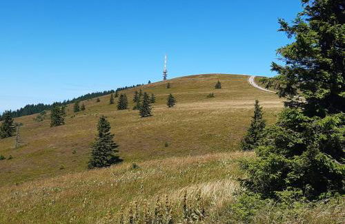 Kopf Frei auf 1000 Meter - Photo 33