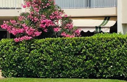 A charming apartment in the heart of the French Riviera - Foto 28