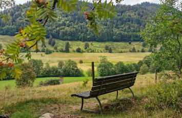 Gemütliches Ferienreihenhaus mit Holzkamin im Schwarzwald - Foto 19