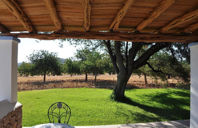 Agroturismo Sa Vinya d'en Palerm - Foto 41