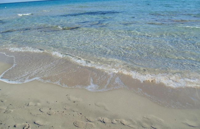 Sunny Garden Stay in Taviano - Foto 43