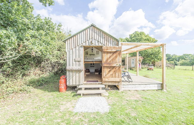 Dartmoor Reach Alpaca Farm - Foto 39