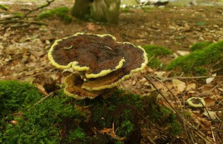 Somewhere Between Apartments - Foto 35