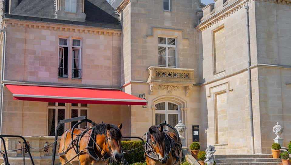Château Pape Clément Tour - Foto 1