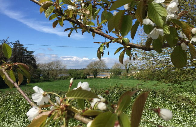 St Awaries - Foto 40