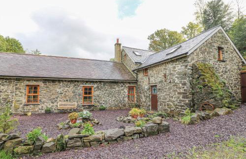 Felin Iago - Foto 22