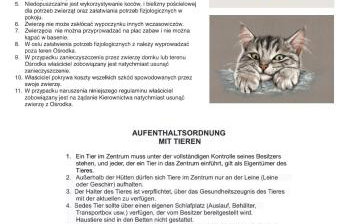 Eden Domki Kołczewo - Foto 33