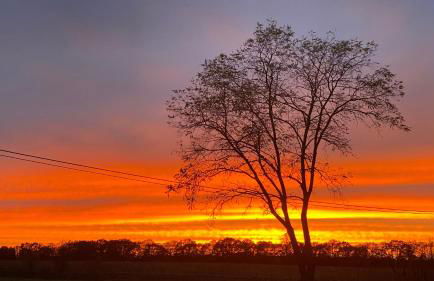 Ferienwohnung auf Pferdehof - Foto 23