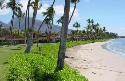 Puamana 80-4 Superior Garden View - Foto 23