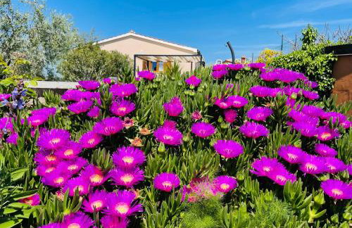 Holiday House Tesser with Pool - Foto 58