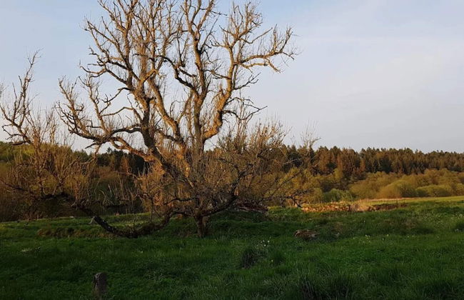 4 Person Holiday Home in Ans By - Foto 21