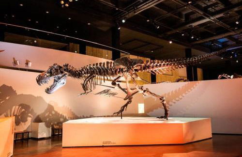 Downtown Oasis Rooftop with Skyline View - Foto 61