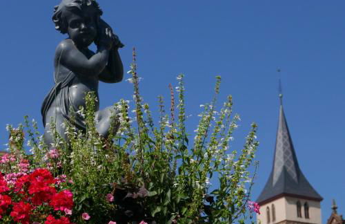 Le Bacchus - Photo 14