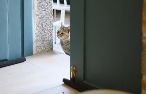 Konstantis - Foto 19