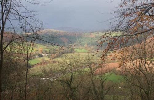 Sunnyview Annexe - Photo 21