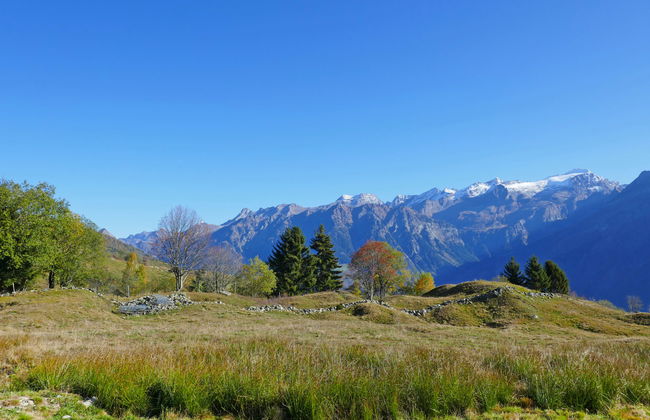 Rustico Andrea - Foto 26