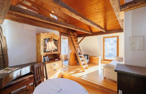 Haugstetter Schwarzwaldhaus - Foto 37