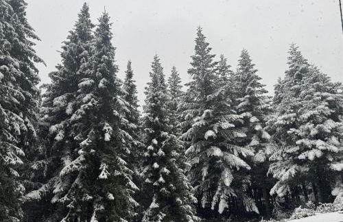 Caseta de Caro Vergés&Forés - Foto 37