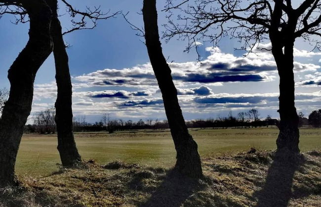 6 Person Holiday Home in Hals - Foto 25