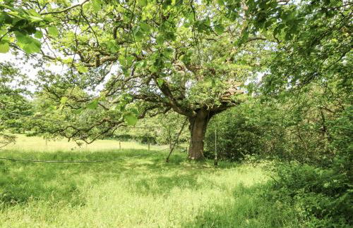 Plas Pontfaen - Foto 37