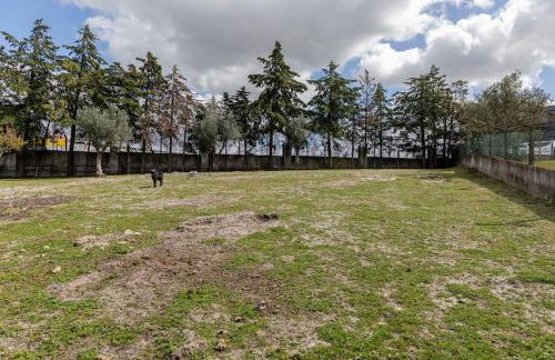 Portuguese Luxury Villa - Foto 70