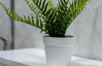 Cosy Clay Home - Foto 23