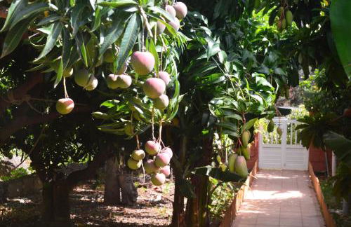 Holiday House Tia Lila - Foto 25