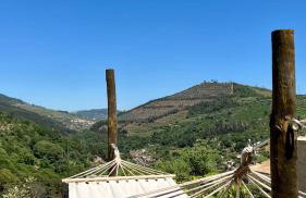 Private Douro- Quinta das Susandas - Foto 68