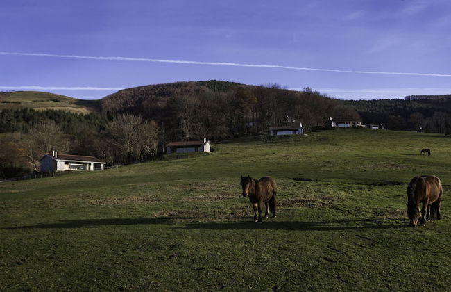 Cabañas Deluxe Basajaun Basoa by IrriSarri Land - Foto 62