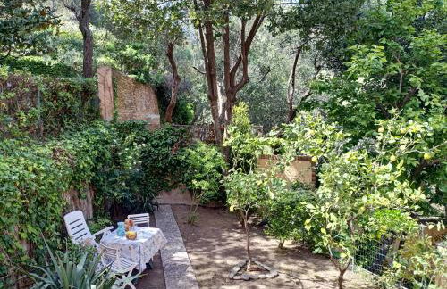 L' eden di Erasmo - Foto 25