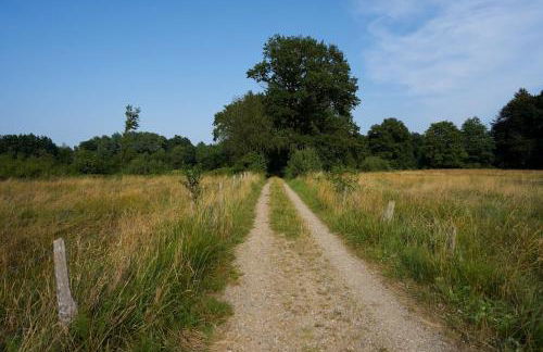Ferienwohnung am Markt - Foto 12