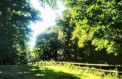 Cozy Cotswold getaway near Burford - Foto 29