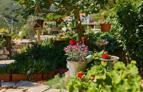 Apartments by the sea Okuklje, Mljet - 22340 - Foto 9