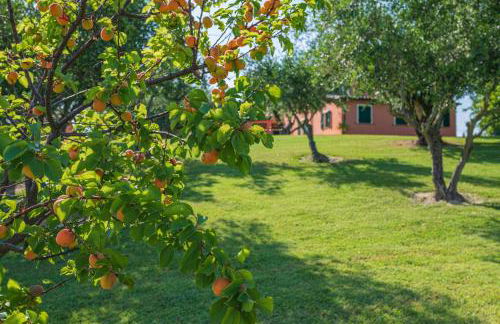 Agri Divin Amore - Foto 20