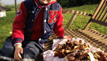 Röblinseeterrassen - Foto 2