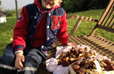 Röblinseeterrassen - Foto 2