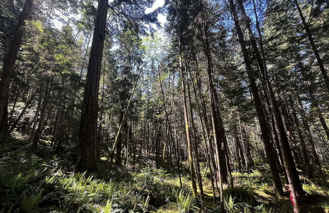 Heartwood Retreats - Foto 52