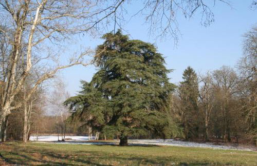 Château Le Brun - Loire Valley and vineyards - Foto 36