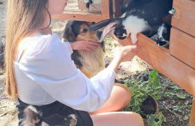 Dolina Miodu - Agro Kaszuby, Sauna, Balia - Foto 39