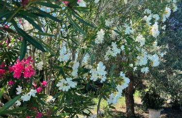 LE RELAIS DES CHATEAUX - Foto 5